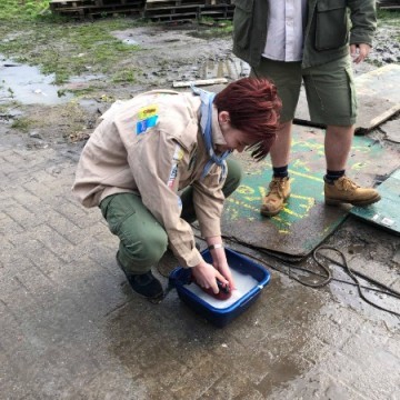 22710 341457649809615 6923579653013635072 n - Scouts en Gidsen Zaventem 